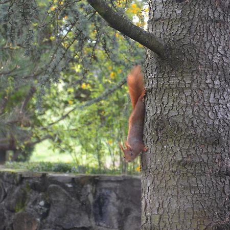 Domaine Insolite Du Petit Moras Chomérac Exterior foto